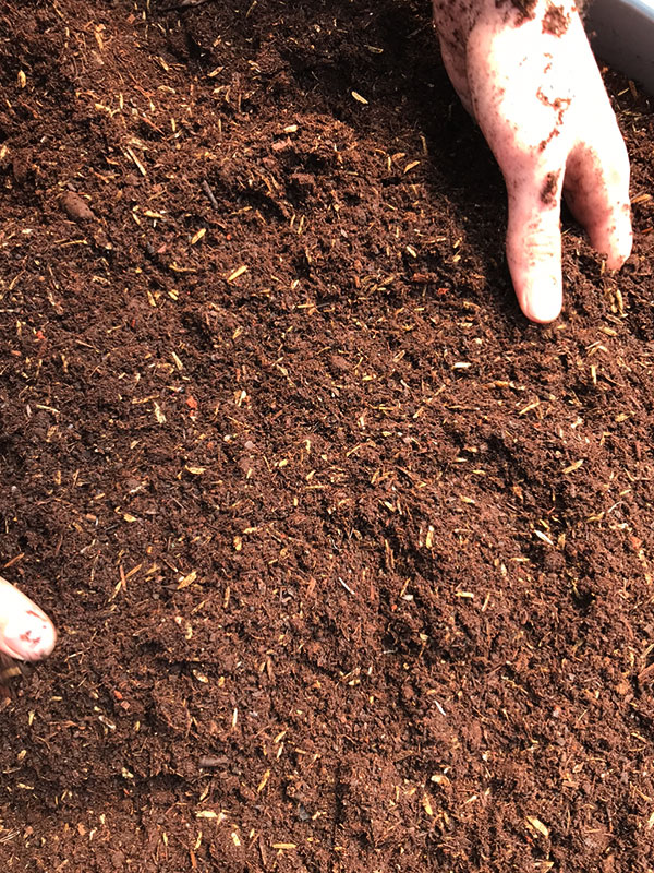 high quality soil for cannabis