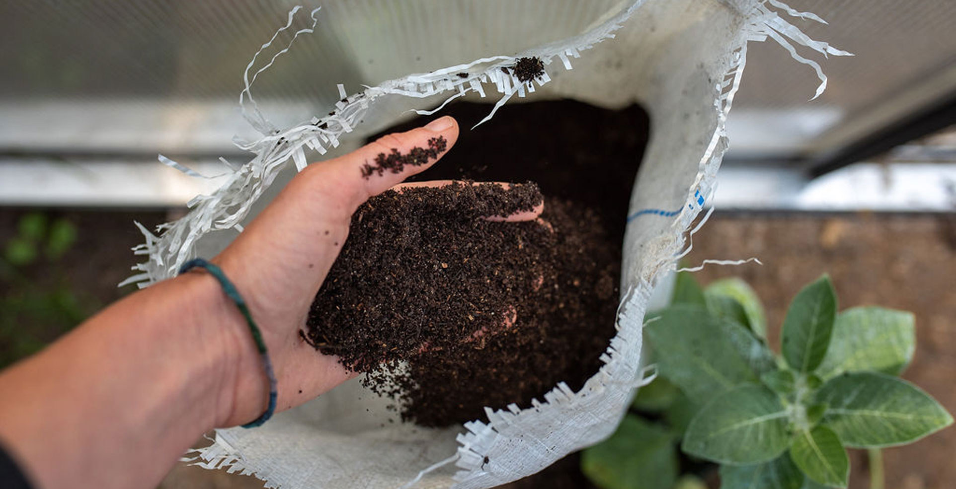 Fresh Worm Castings Vermicompost in West Michigan